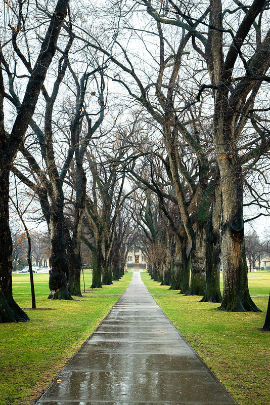 Spring rain ☔️ or snow ❄️

Keeping it interesting 🌳