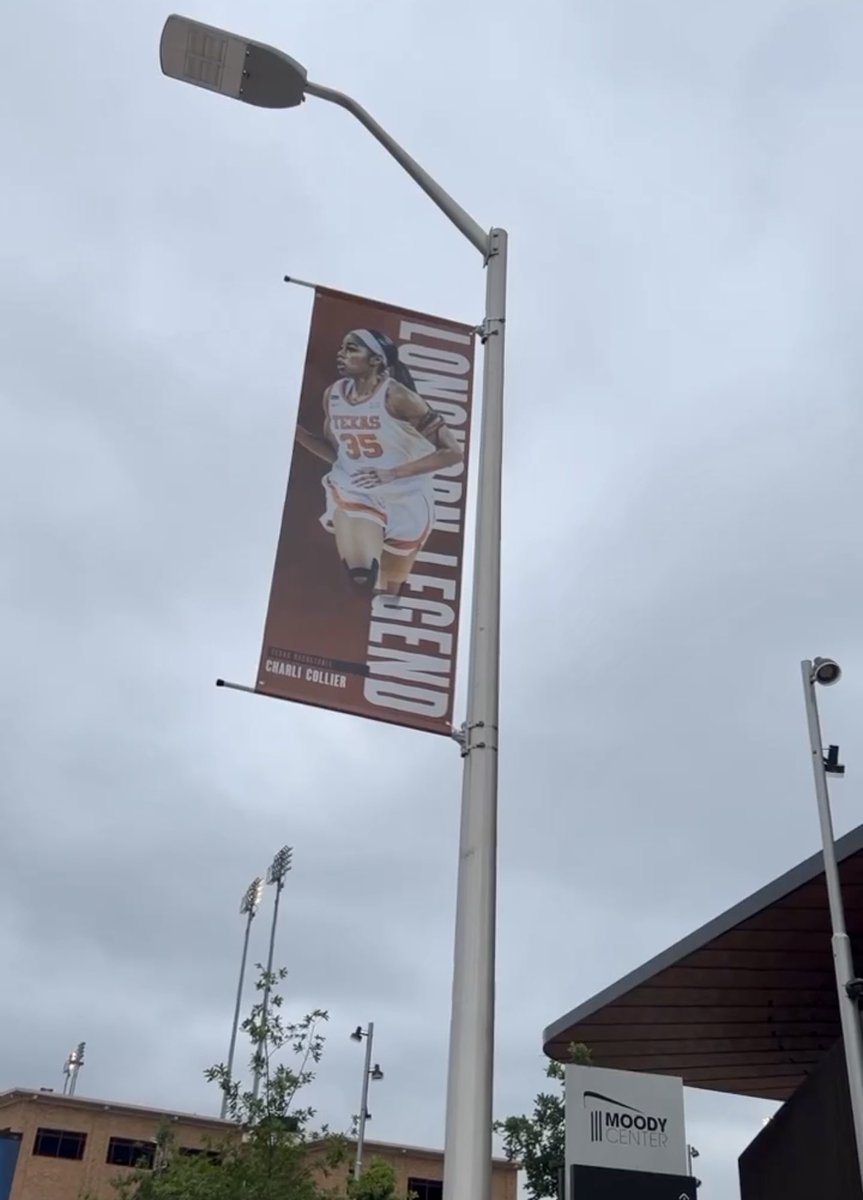 Charli Collier™ tweet media