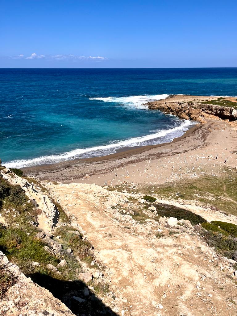 Kim Whittaker tweet media