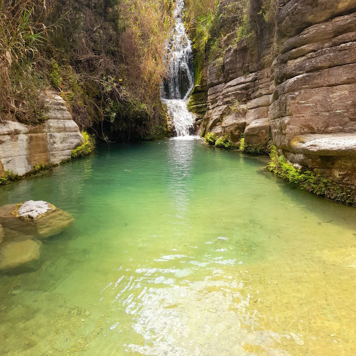 Kim Whittaker tweet media