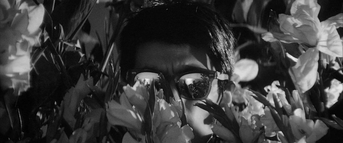 Busted Keaton 🌱 🍉 tweet media