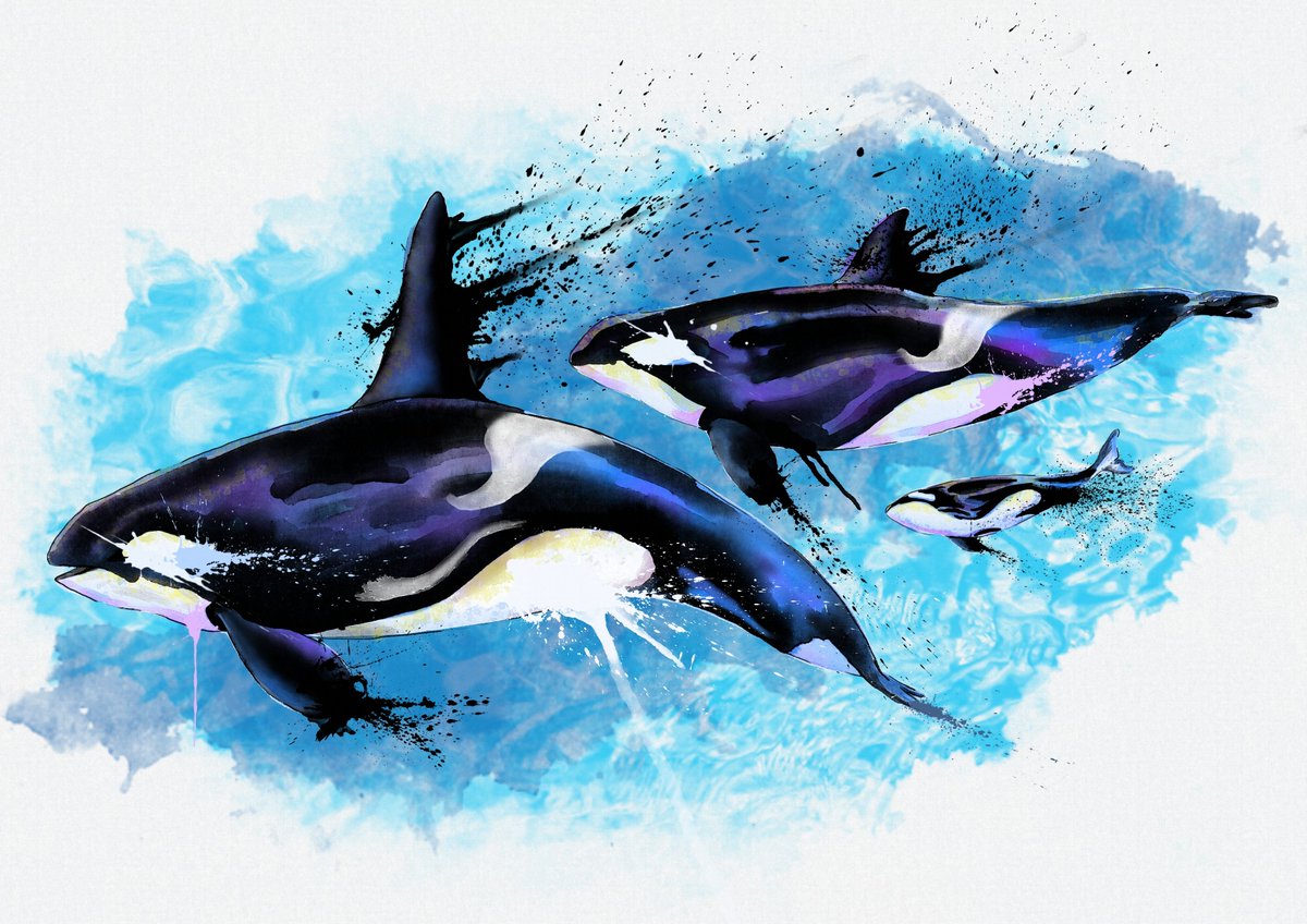 New piece in my Nature Series just finished. 🐬🐳

#anime #illustration #animeart #animelover #animefan #watercolor #nature #comiccon #marine #digitalart #painting #mammal #whale #whalewatching #orca #orcawhale #killerwhale #dolphin #dolphins #killerwhalepainting #sea #ocean