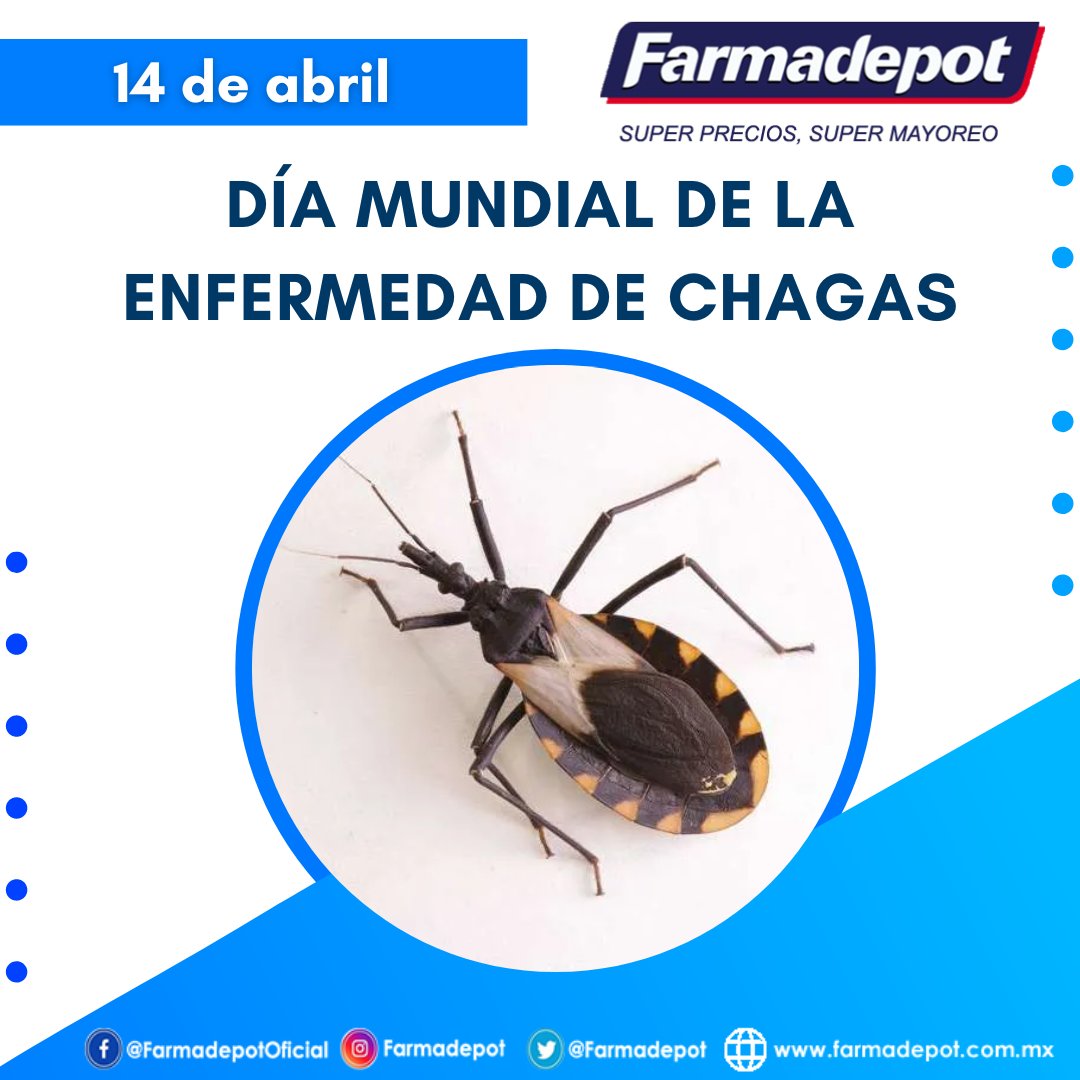 14 de abril | Día Mundial de la Enfermedad de Chagas
Establecido para dar visibilidad a las personas que tienen esta enfermedad, así como informar de los recursos necesarios para prevenirla, controlarla o eliminarla.
#Chagas
#cuidémonostodos