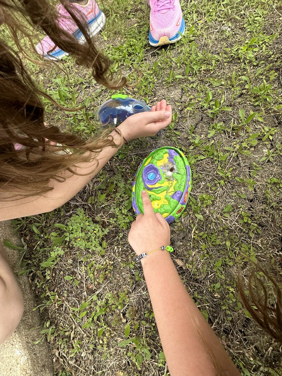 Kelly F. tweet media