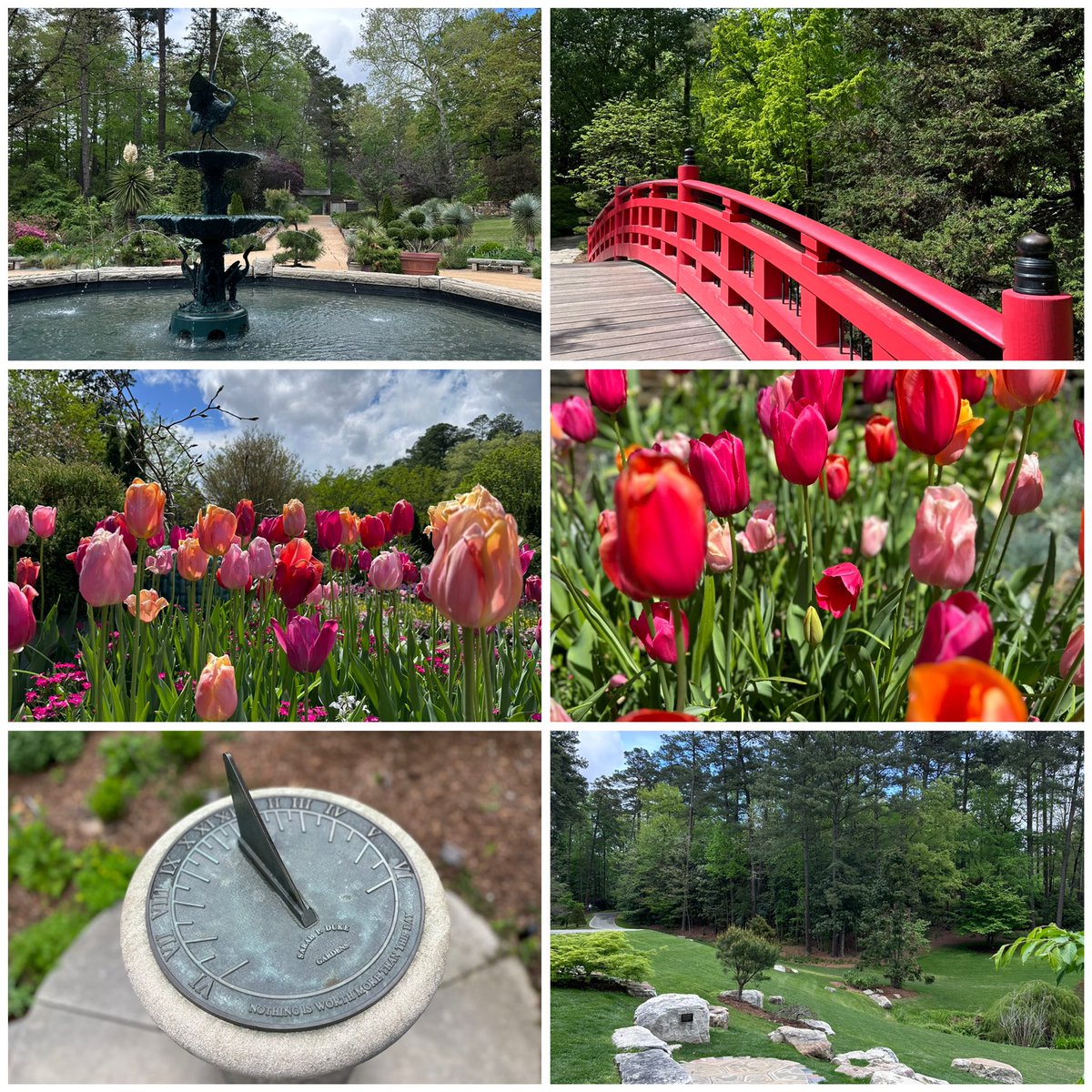 KhannaLabUF's tweet image. A nice walk in the serene Sarah P. Duke botanical gardens to cap off an exciting #USASP2023 - great to see friends &amp;amp; make new ones. Congrats to postdoctoral fellows @PazDurn and @Kimgmz6 for presenting posters &amp;amp; a talk on exciting work from our lab. 
See you in Seattle next year!