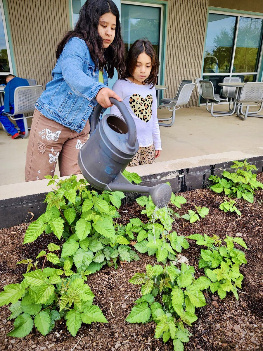 Today is #NationalGardeningDay!🪴 Gather your tools and let’s get dirty! Whether you have a green thumb or just starting out, working the soil and seeing the result of your labor is more than just satisfying.😊

📸 Normoyle Community Garden
#SAParksAndRec #SanAntonio #GardenMonth