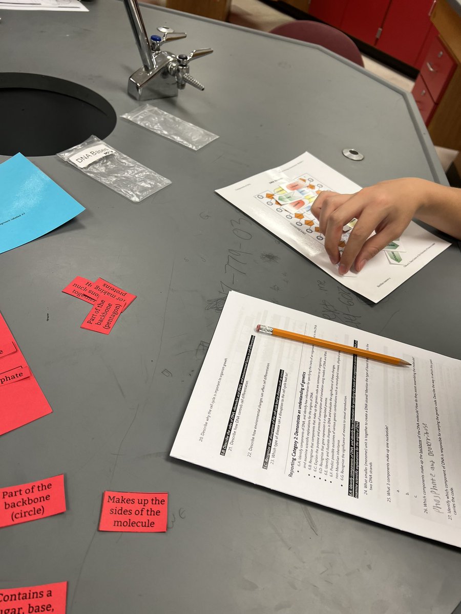 MacArthurVILS tweet media