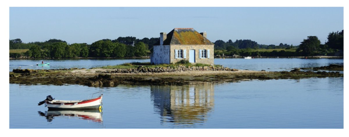 Hélène M tweet media