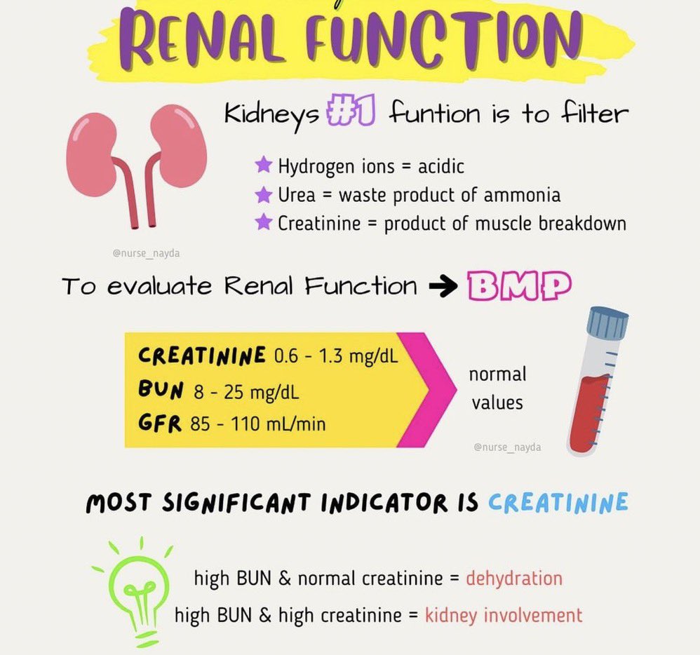 biochem48's tweet photo. Renal function https://t.co/l9ZfzmZn5t