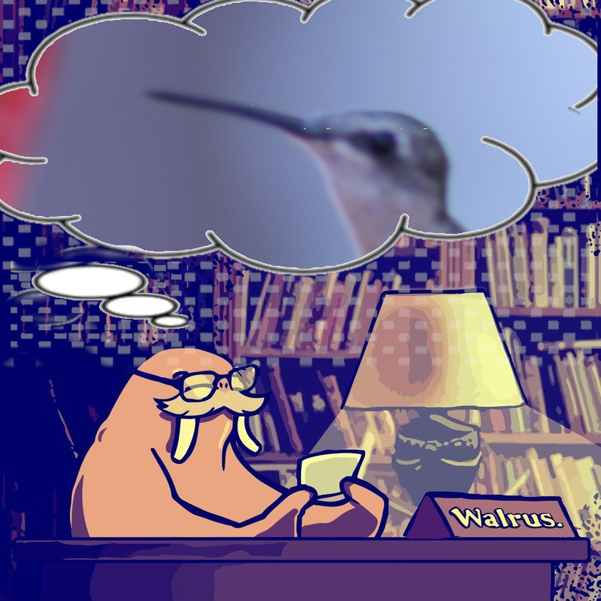 #Writerslift #ShamelessSelfPromoFriday #WritingCommunity

#TGIF #walrusfam #writers and #readers. Walrus would like to hear about your works.