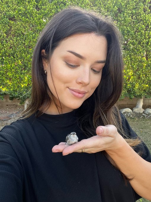 Coachella Day One? Lit 🐦 https://t.co/1zYbVM5B0M