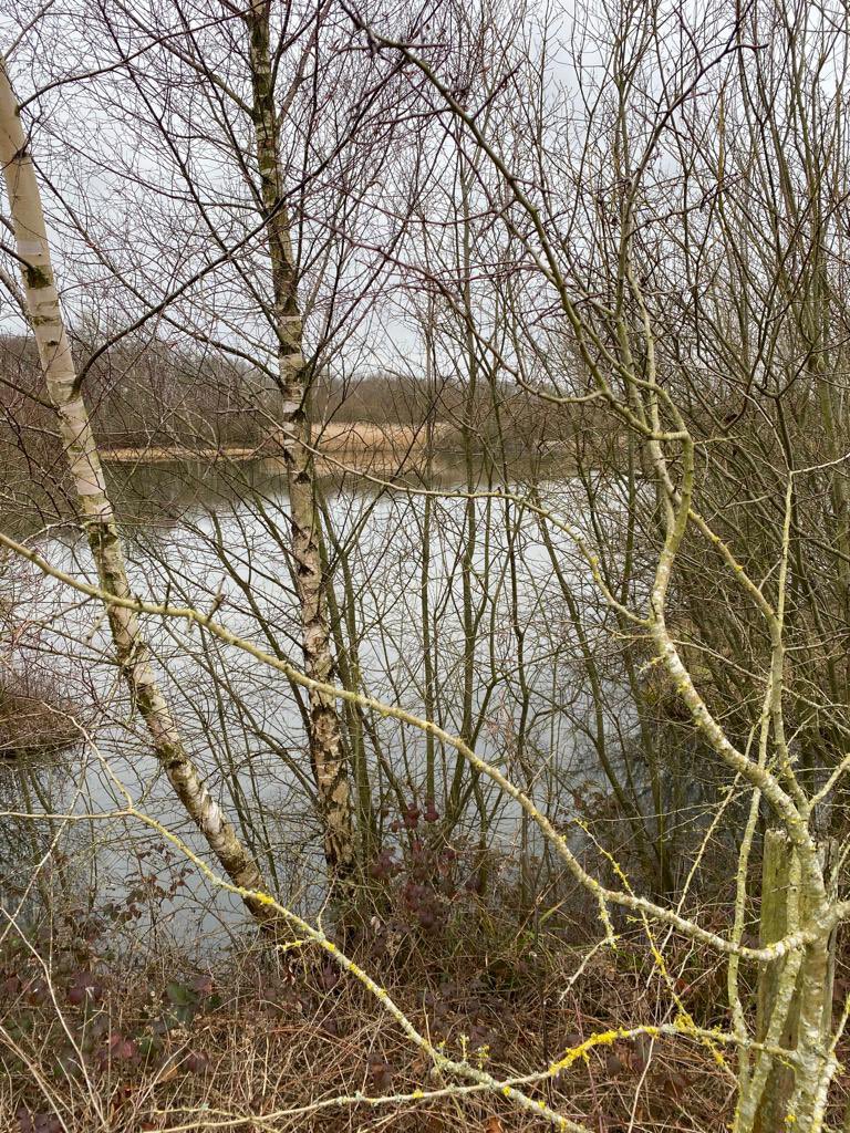 SaveStAlbansftf's tweet photo. Please @hertscc don’t sell our #greenbelt for a highly probable road to road transfer warehouse development.
Save our #nature, #wildlife #biodiversity #saveourfarm #pollution #ClimateEmergency https://t.co/noxsCaulr4