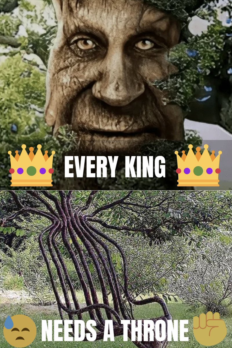 NFTrees tweet media
