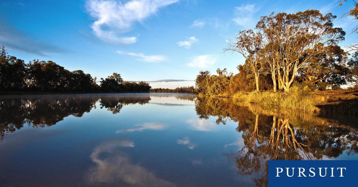 The UN Decade on Ecosystem Restoration reminds us that we need to scale up river management in Australia and globally. 

Dr Kathryn Russell from <a href="/SciMelb/">Science at Melbourne</a> shares five recommendations to achieve global goals for ecosystem restoration → unimelb.me/3KQcaJA

#UniMelbPursuit