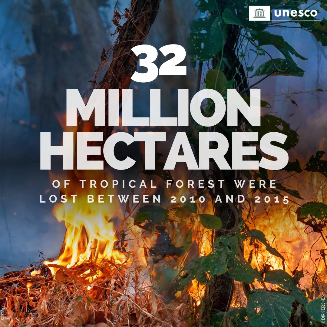 UNESCO's tweet photo. ❗ The decline of species.

❗ The shrinking of natural areas.

❗ Soil &amp; water pollution.

❗ Degradation of ecosystems.

This is the reality that we face today.

This is what we are leaving behind.

We must #ActNow to save our biodiversity.

https://t.co/AU2Snsf1Kt https://t.co/qIsJNSa71V