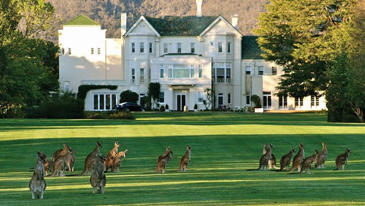 MsBishopsPants's tweet photo. @MichaelWestBiz @JaneOC36 @jommy_tee @RonniSalt How many trophies 🏆 could we make if we melted down all of Government House?

LNP is looking to make encouragement / participation awards for #TeamDutton. https://t.co/1zGQwvRBdA