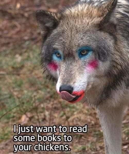 ErickLarsonMDJD's tweet photo. @budlight This wolf drinks bud light. https://t.co/X1NIMZpydO