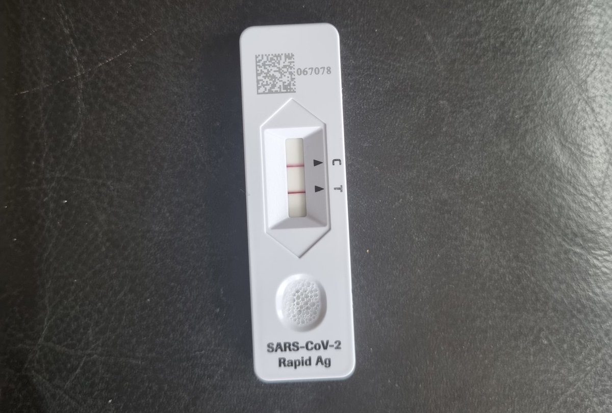 Kat McCarthy tweet media