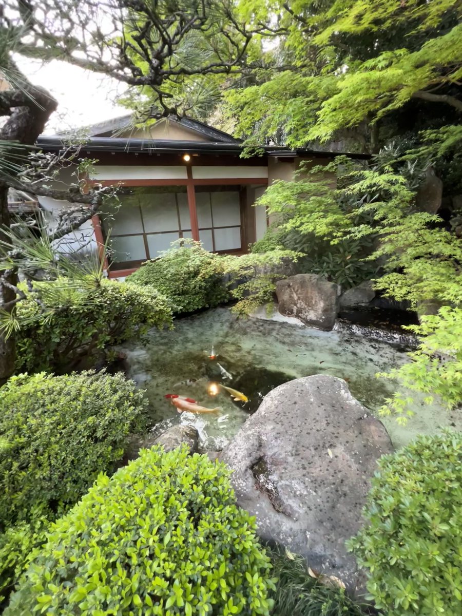 Timothy Sykes tweet media