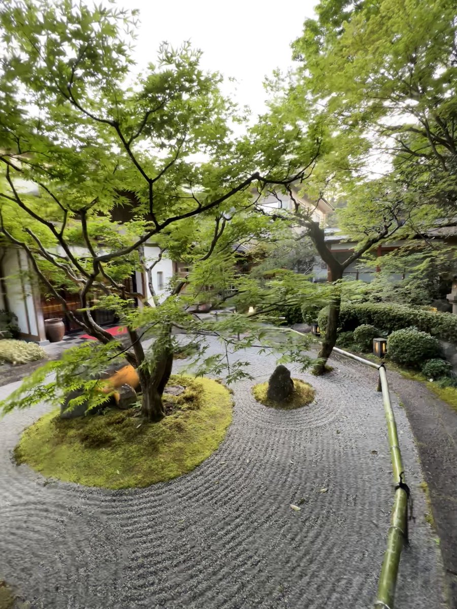 Timothy Sykes tweet media