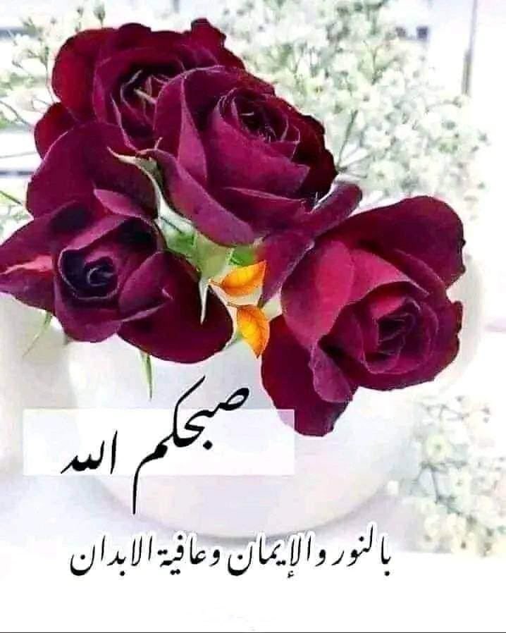 rym02007's tweet photo. @monah21792340 https://t.co/acQIjbOLQg