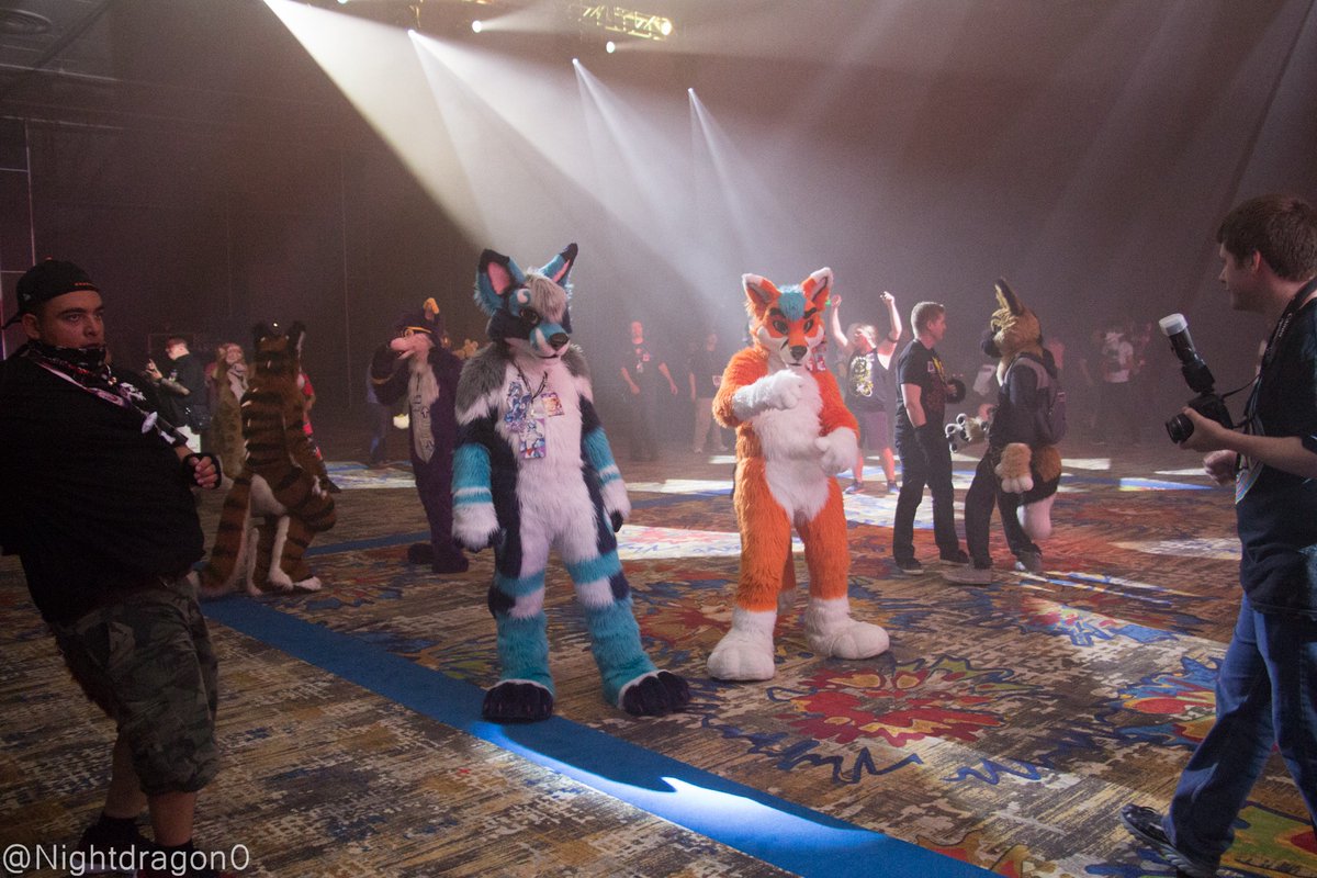 FiestaDaFox's tweet photo. @FoxYote and I at the dance from #MFF2018
📸 @nightdragon0 
👔 @MadeFurYou 
🌎 @FurFest 
#FursuitFriday https://t.co/y0w1dX99JX