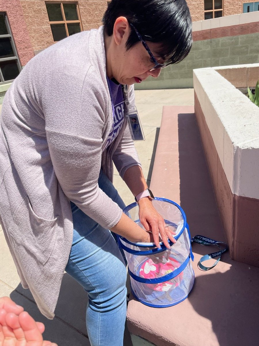 SBrandon_MMS tweet media