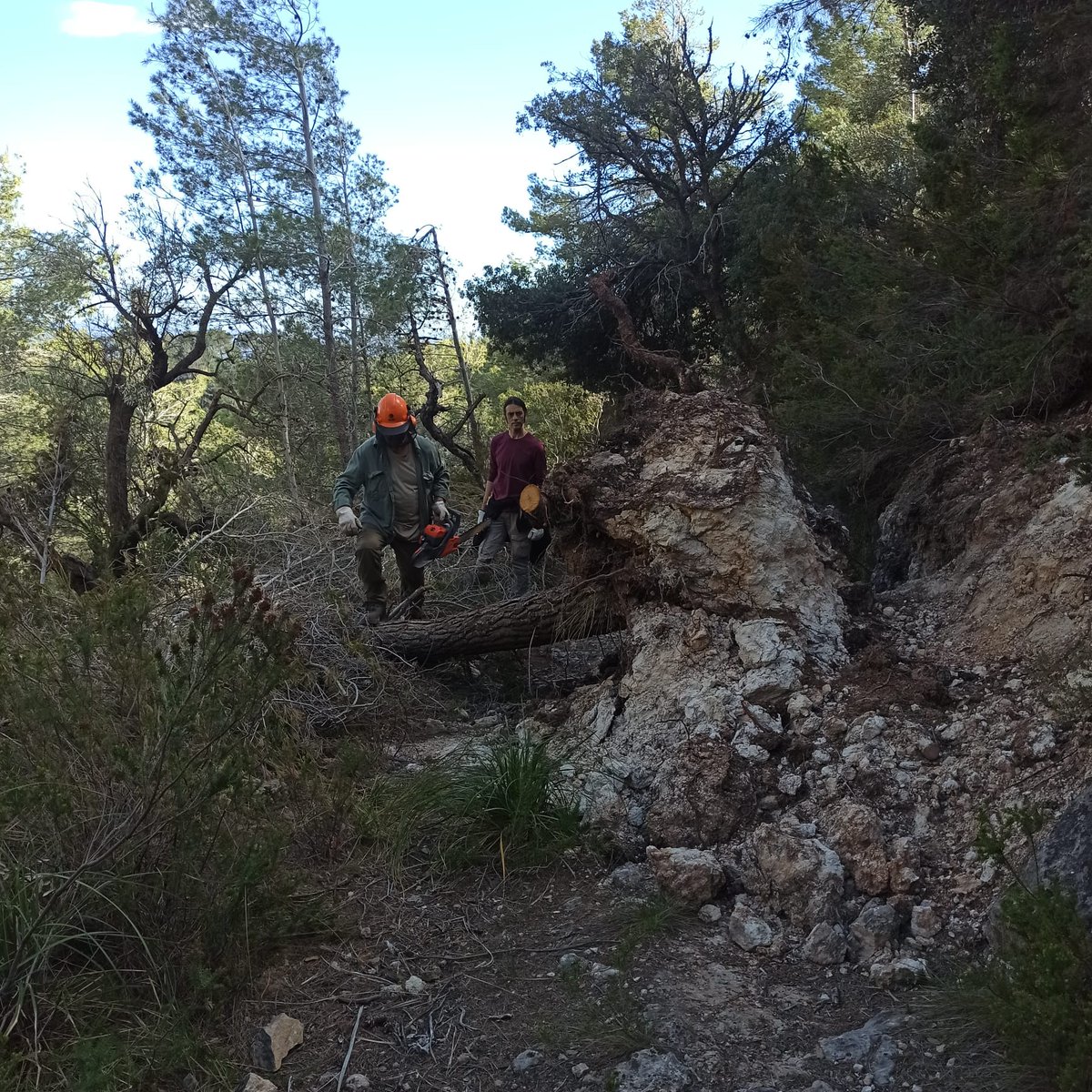 AssociacioAlrum's tweet photo. 📅Els dies 22 i 29 d’abril de 9 a 12 se celebraran dues jornades de #voluntariat a #saBastida.
📷 La #tempesta #Juliette, que afectà Mallorca a les darreries de passat mes de febrer, causà destrossa al #jaciment #arqueològic. 

📝Inscriu-te a:
https://t.co/izWl5ZQdew https://t.co/krbyA4kP5S