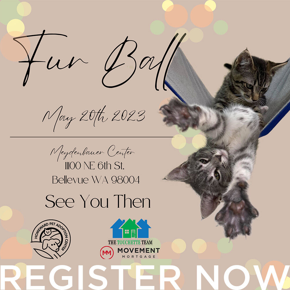 The kittens in the Cuddle Corner can't wait to see you at this year's Fur Ball!  They're warming up for all the cuddles. 

Have you registered yet?  We'd hate to have you miss out.
Register Now and invite your besties to join you >>> bit.ly/hpac-furball-r…