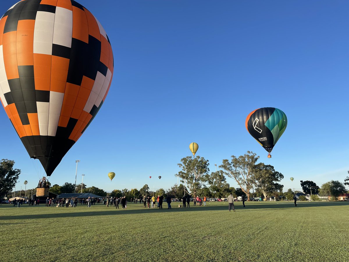 Lachlan Patterson tweet media