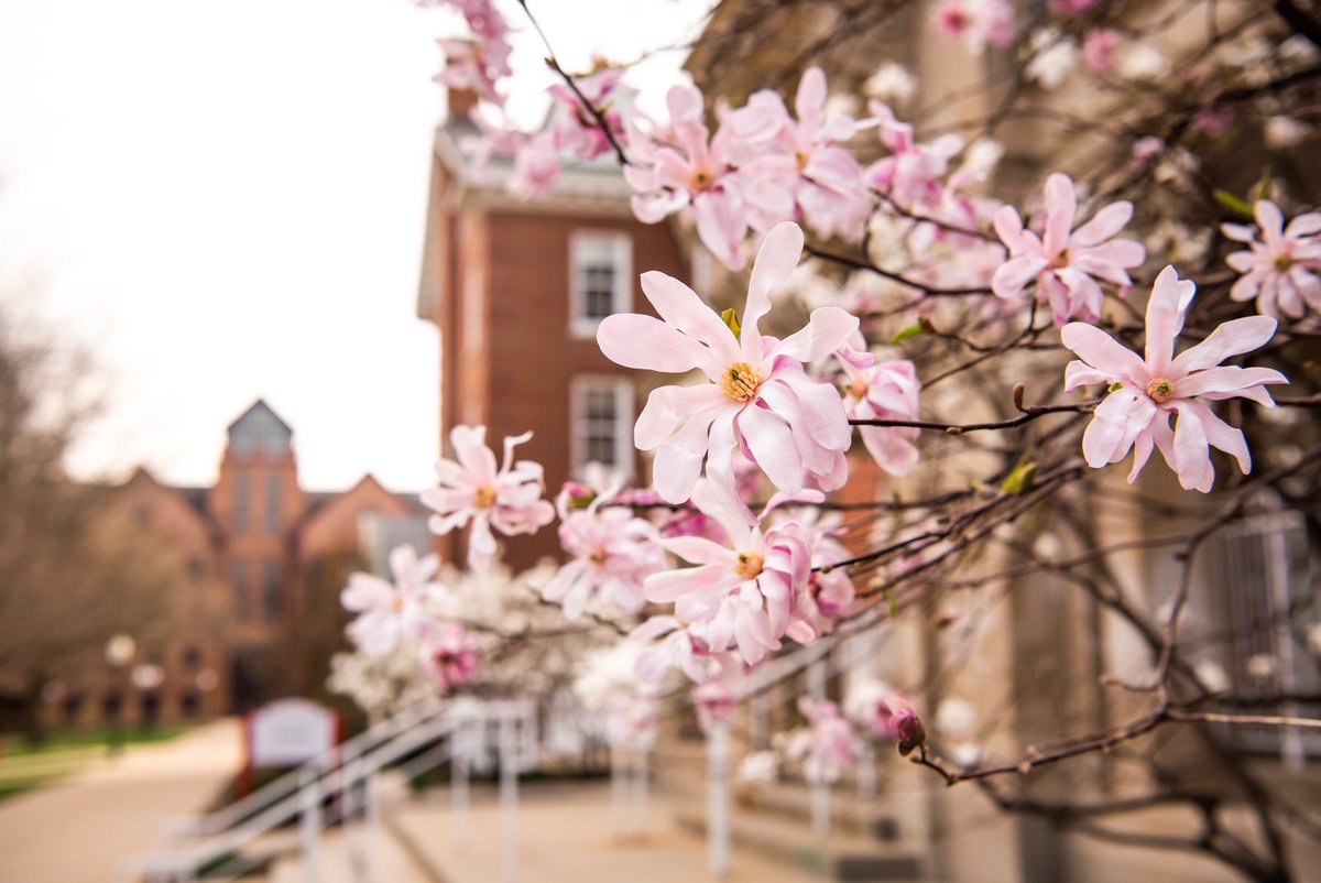 Redbird Well tweet media