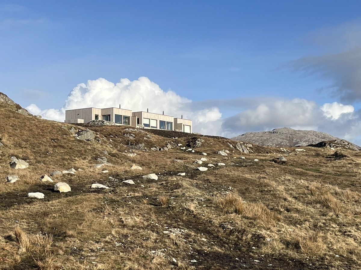 Nick Speed tweet media