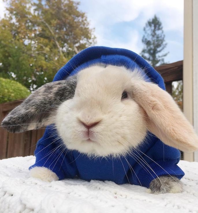 𓂃꙳ ⋆beret ⊹ ｡ ﾟ