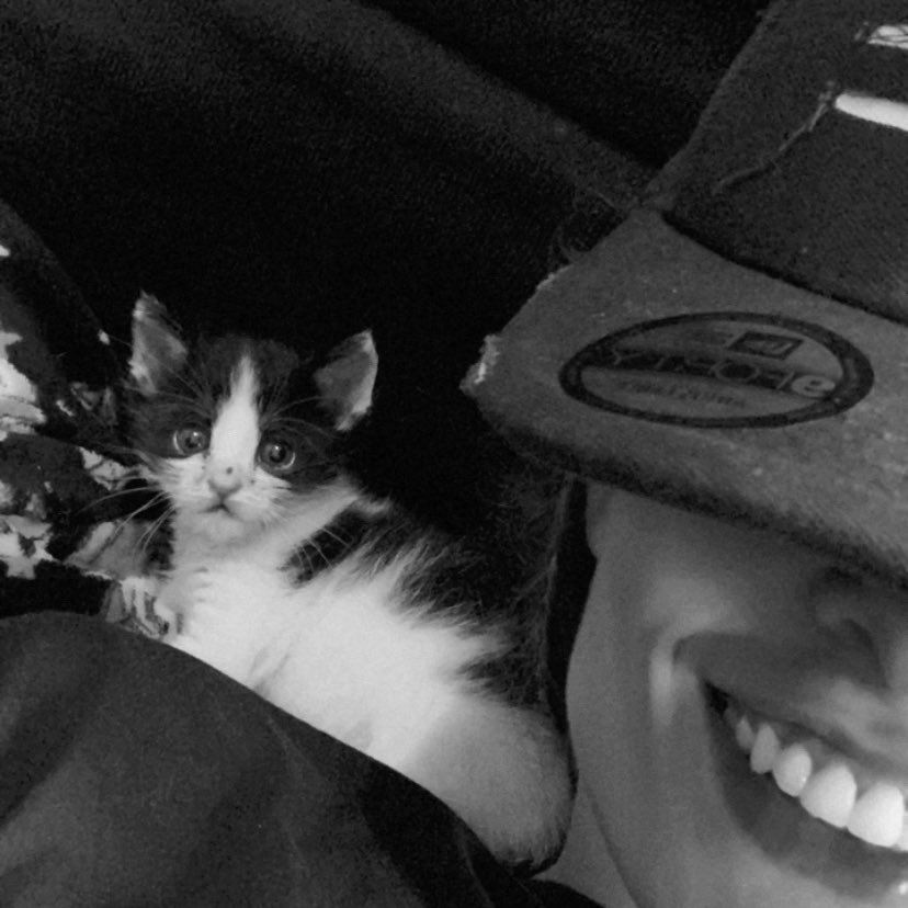 JulianaArv's tweet photo. uma sequência extremamente fofa caso vc tenha tido uma semana difícil ✨💗🐯🐯 https://t.co/uK0cgn1Npt