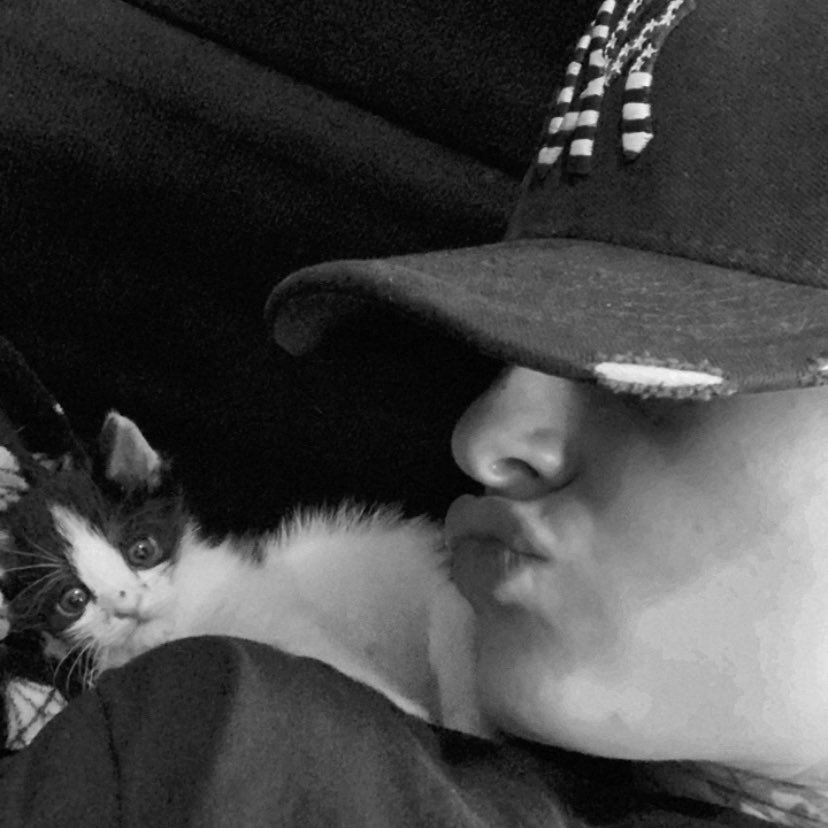 JulianaArv's tweet photo. uma sequência extremamente fofa caso vc tenha tido uma semana difícil ✨💗🐯🐯 https://t.co/uK0cgn1Npt