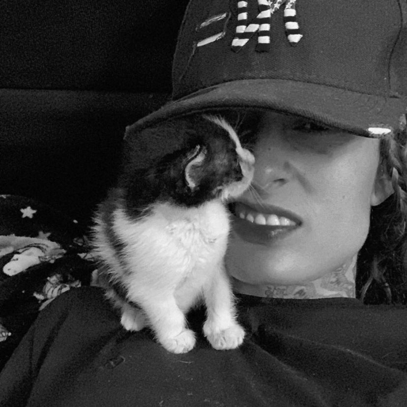 JulianaArv's tweet photo. uma sequência extremamente fofa caso vc tenha tido uma semana difícil ✨💗🐯🐯 https://t.co/uK0cgn1Npt