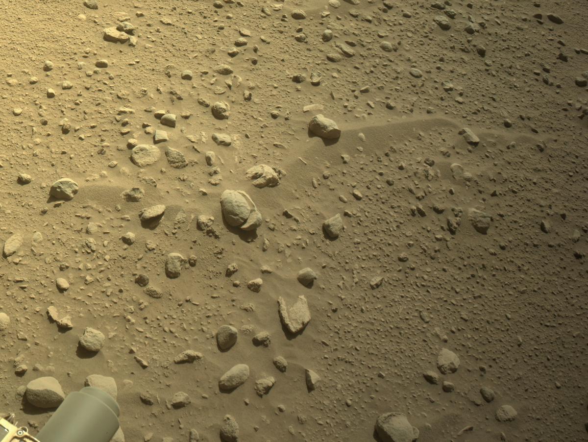 Perseverance Image Bot 📡 tweet media