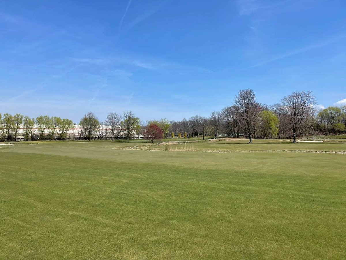 Today is sunny to have fun with white balls lol ⛳️