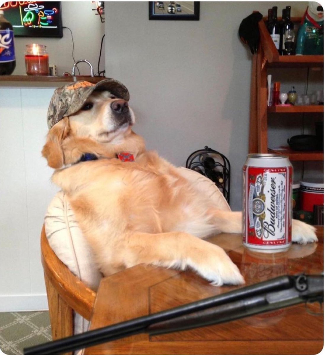 Just got a new Woke Alert. This is NOT a Birds Eye California Medley house anymore