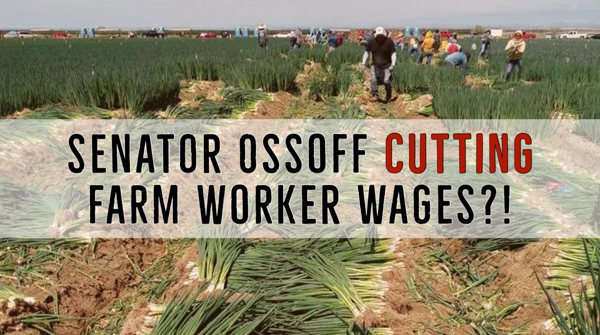 UFWupdates's tweet photo. Are you kidding? Cutting farm worker wages? @SenOssoff (D-GA) just joined forces w/a Republican in introducing legislation that would slash wages for H-2A farm workers. Sign the petition NOW! https://t.co/t7BkGlAK14 #WeFeedYou https://t.co/HvghC0YVmI