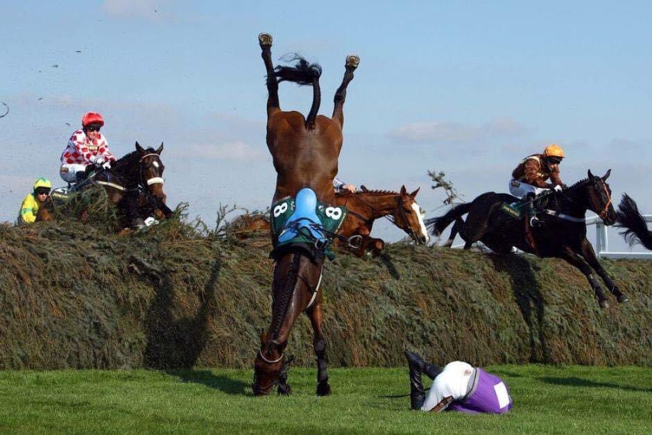 domdyer70's tweet photo. The brutal reality of the Grand National where 50 horses have died since 2000 #GrandNational #YouBetTheyDie https://t.co/1J6MVuP1k2