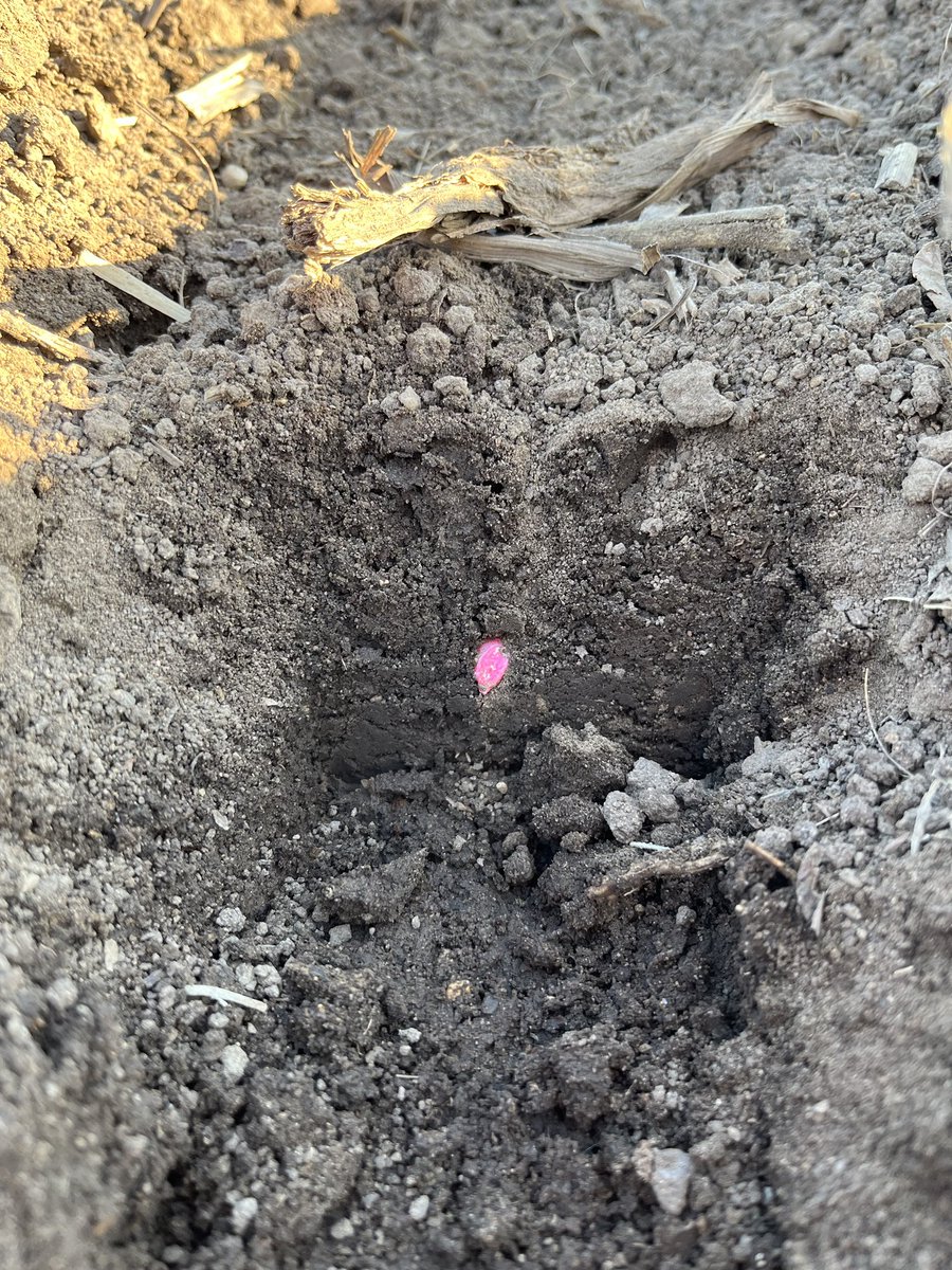 AgFocusLLC's tweet photo. #FastTracs dialed in - Central Iowa. https://t.co/MQ8i1zdjyp