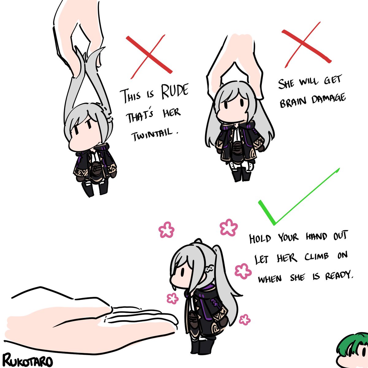 Rukotaro's tweet image. How to hold the Smol Birbgirl.

#FireEmblem #fireemblemawakening