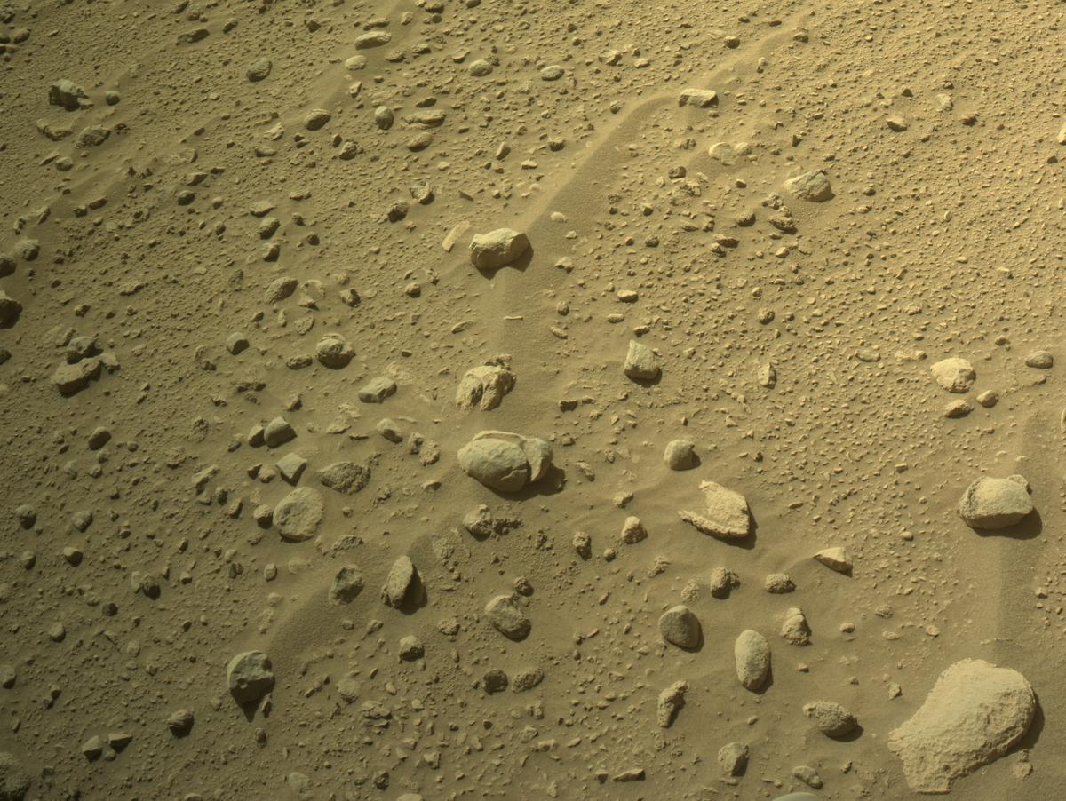 Perseverance Image Bot 📡 tweet media