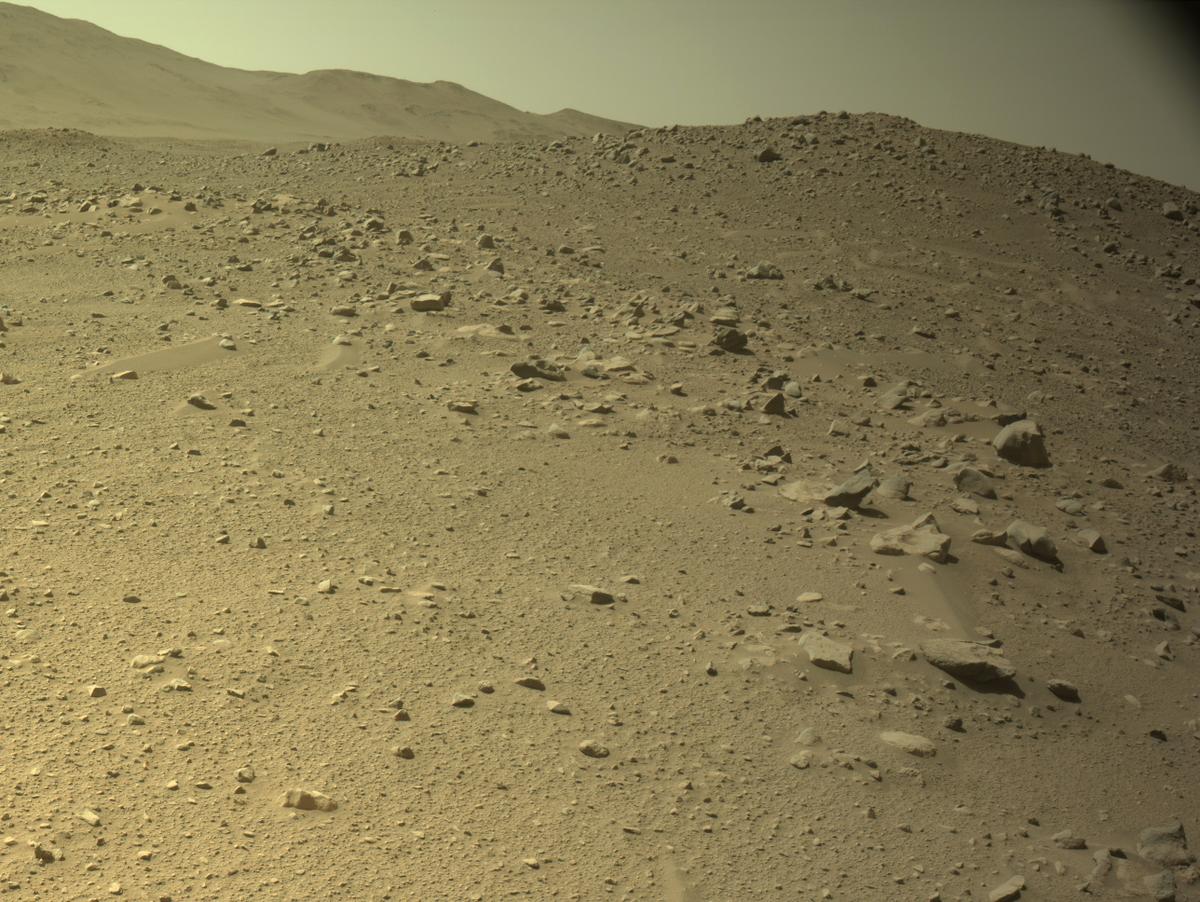 Perseverance Image Bot 📡 tweet media