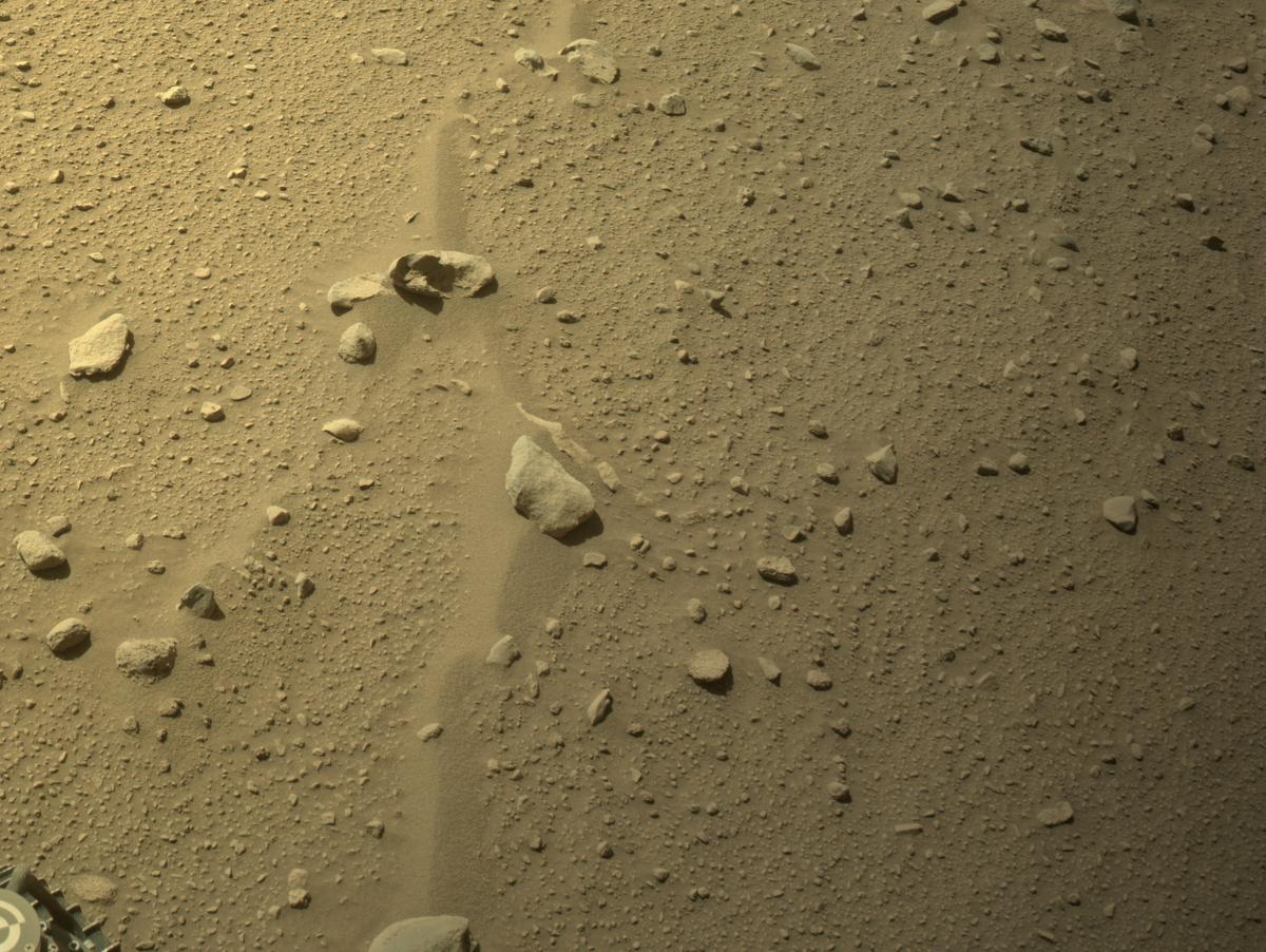 Perseverance Image Bot 📡 tweet media