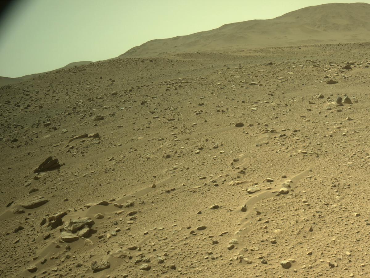 Perseverance Image Bot 📡 tweet media