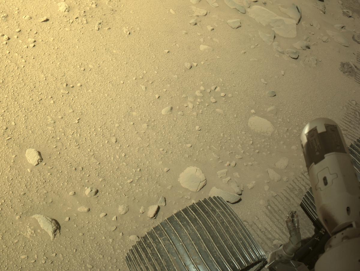 Perseverance Image Bot 📡 tweet media