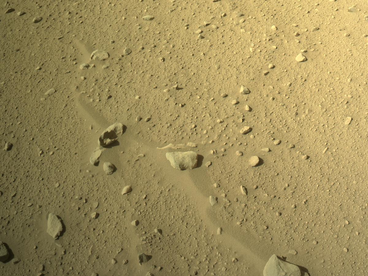 Perseverance Image Bot 📡 tweet media