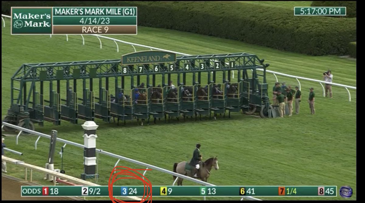 atTheTrack7's tweet photo. 24-1 goes to 11-1 strides after the gate opens and is 9-1 across the wire. https://t.co/o0VUXjKqX4
